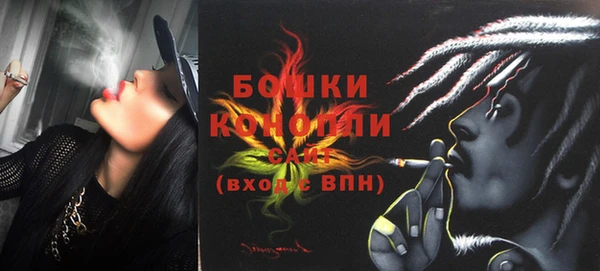 ГАЛЛЮЦИНОГЕННЫЕ ГРИБЫ Нея