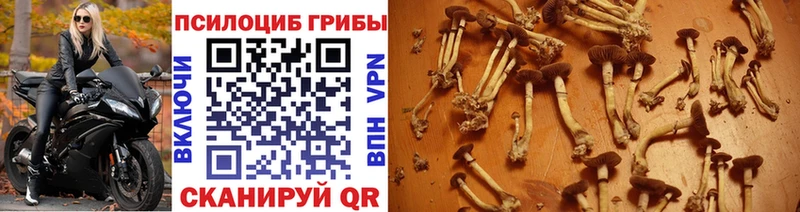 Псилоцибиновые грибы мухоморы  Оленегорск 